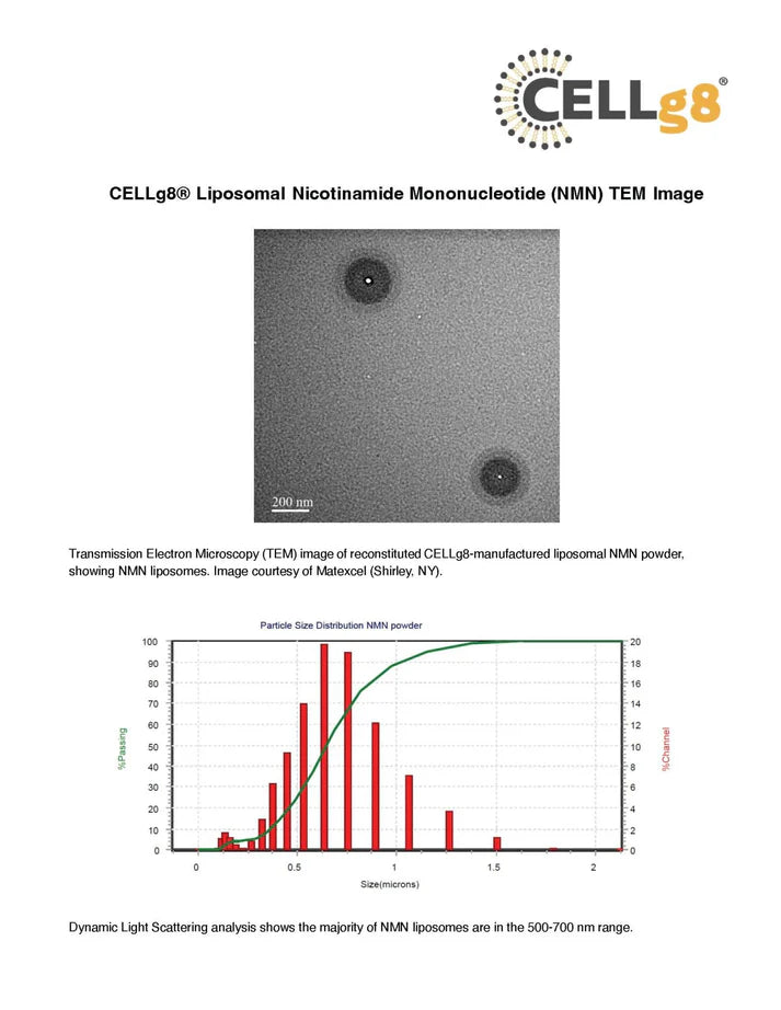 NMN (Nicotinamide Mononucleotide, Liposomal) Renue By Science