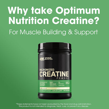 Optimum Nutrition Micronized Creatine Powder - 600g