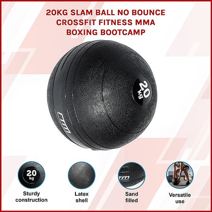 20kg Slam Ball No Bounce